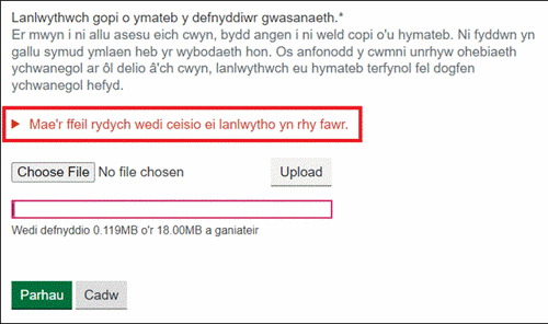 Ffeiliau sy'n fwy na'r terfyn maint ffeil